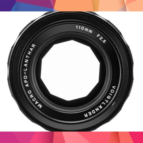Voigtländer Apo-Lanthar 110mm F2.5 Sony E Mount Makro Lens 3