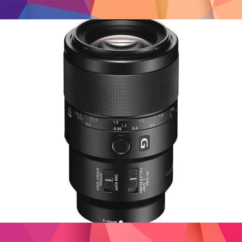 Sony FE 90mm f/2.8 Macro G OSS Lens (SEL90M28G)